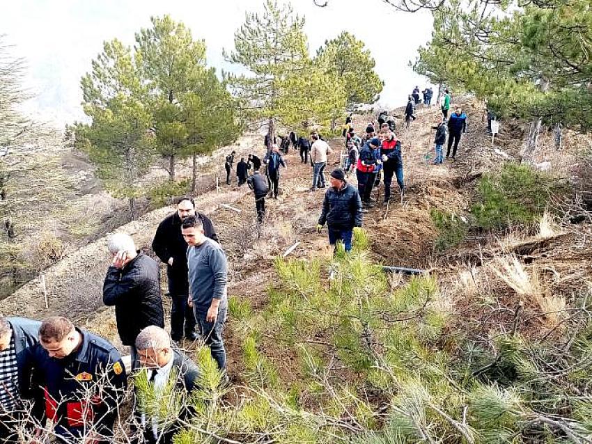 1300 CEVİZ FİDANI TOPRAKLA BULUŞUYOR