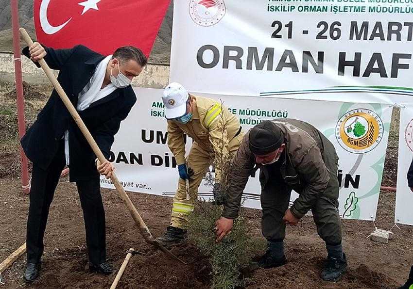 ORMAN HAFTASINDA, FİDANLAR TOPRAKLA BULUŞTU