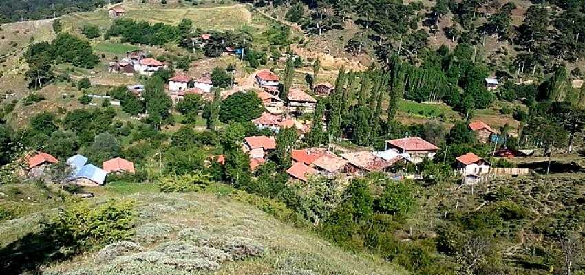 ÇORUM İL ÖZEL İDARESİNDEN EVLİK YOLU AÇIKLAMASI
