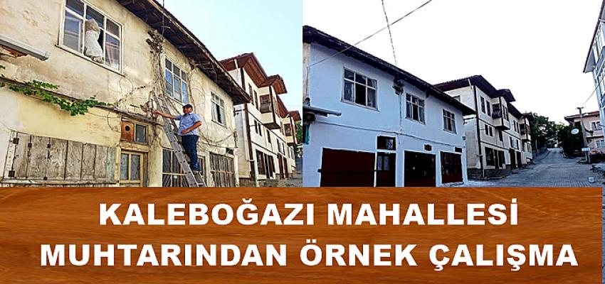 MUHTARDAN ÖRNEK ÇALIŞMA