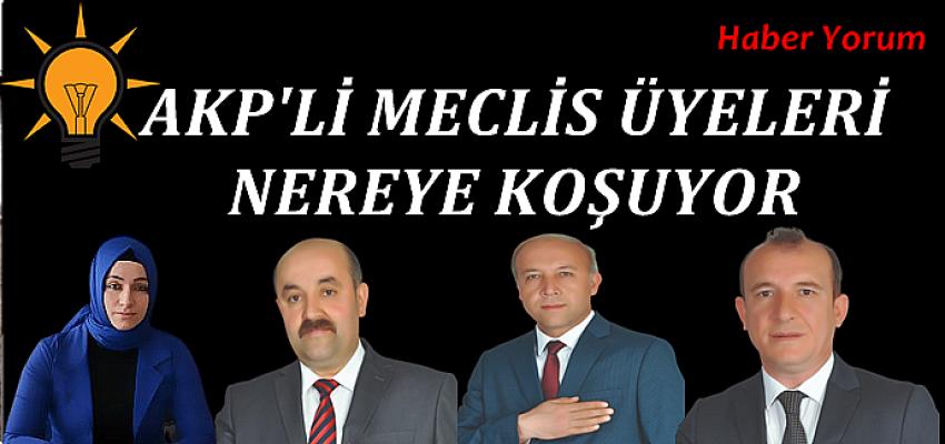AKP'Lİ MECLİS ÜYELERİ ŞAŞIRTMAYA DEVAM EDİYOR