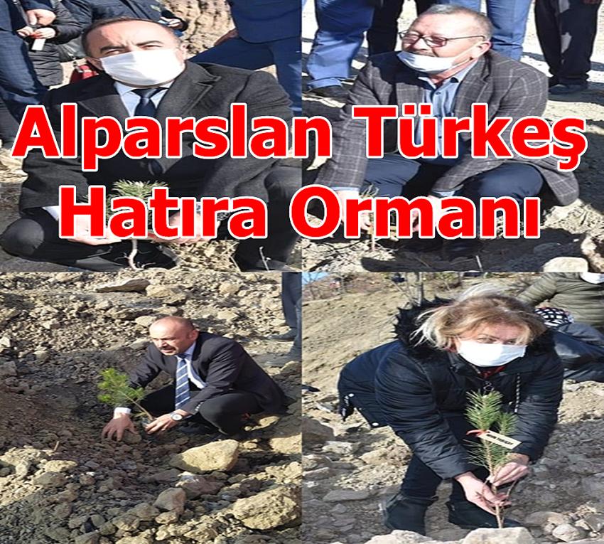 ÜLKÜ OCAKLARINDAN ALPARSLAN TÜRKEŞ HATIRA ORMANI