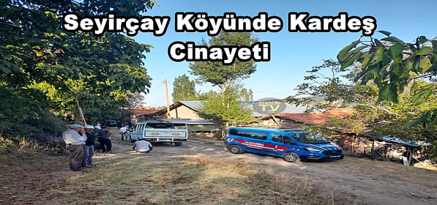 KÖYDE KARDEŞ CİNAYETİ