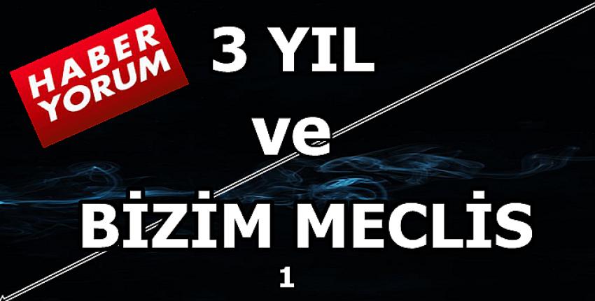 ÜÇ YIL VE BİZİM MECLİS