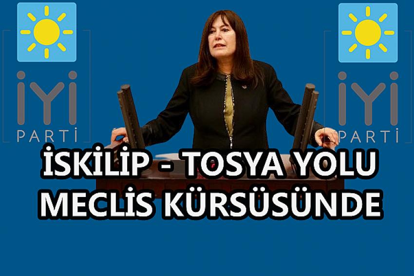 İSKİLİP TOSYA YOLU İLK DEFA MECLİS KÜRSÜSÜNDE
